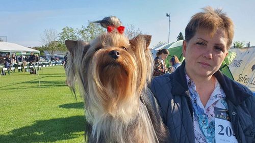 Peste 400 de câini, inclusiv din SUA şi Rusia, la Satu Mare Dog Show