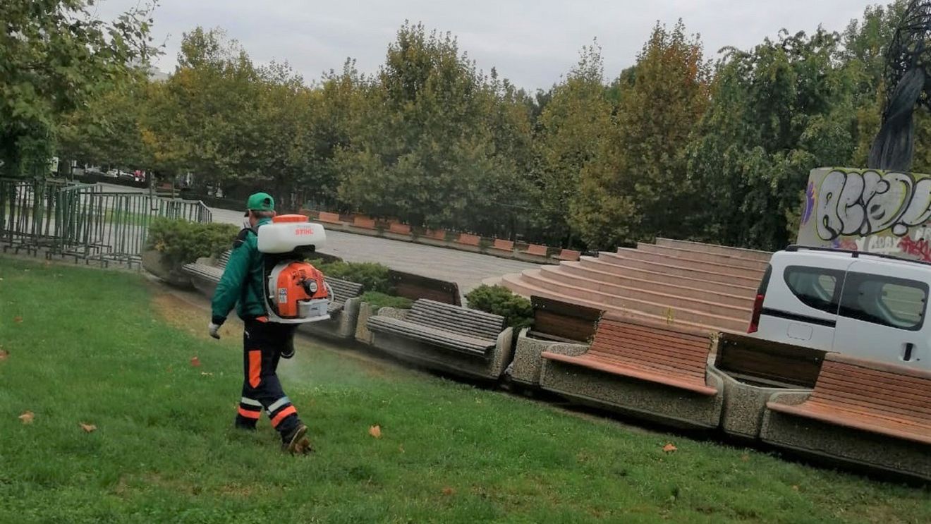 Angajaţii Companiei Municipale Eco Igienizare, în pragul protestului. Nu au mai primit salariile din decembrie, iar activitatea este blocată