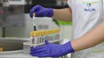 Noua generație de screening prenatal: un simplu test de sânge poate detecta riscul unor anomalii genetice încă din primul trimestru de sarcină