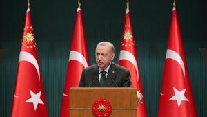 Erdogan cere Spaniei, care deţine preşedinţia rotativă a Consiliului Uniunii Europene, reactivarea procesului de aderare a Turciei la UE