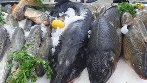 Atenție sporită la consumul de pește. În București au fost confiscate 500 de kg de pește și produse din pește
