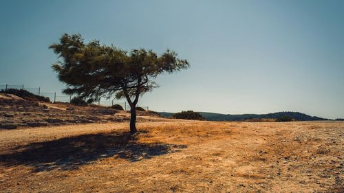 STUDIU Tot mai multe „puncte fierbinți” inexplicabile apar pe glob/ Nord-vestul Europei, zona cea mai puternic afectată de valurile de căldură din ultimii ani