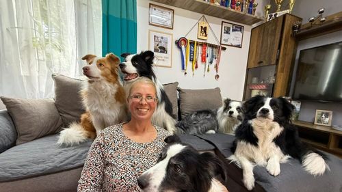 Campionii României la Border Collie: Cristina Cseh, succes în fața Chinei la competițiile internaționale | Interviu: ,,Premiile sunt simbolice: medalii, trofee sau diplome, fără premii în bani’’