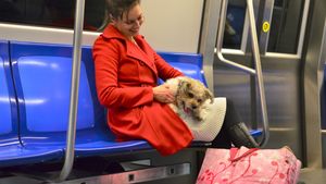 România, destinație pet-friendly! Parteneriat pentru un turism prietenos cu animalele: Educație, responsabilitate și vacanțe cu prietenii necuvântători