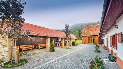 Destinație de vacanță. Un fost internațional român s-a apucat de turism. A transformat o casă săsească părăsită într-o pensiune