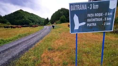 Adevărul: Sate izolate din Hunedoara, cu locuitori în vârstă și cu drumuri neasfaltate, vor avea piste de biciclete costruite cu fonduri din PNRR