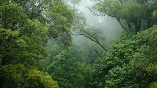 16 oameni au murit și mii sunt sinistrați, în Bolivia, din cauza inundațiilor din sezonul ploios