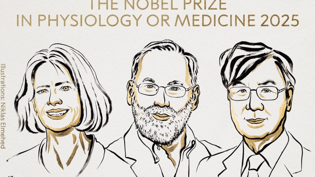 BREAKING Premiul Nobel pentru Medicină 2025: Mary E. Brunkow, Fred Ramsdell și Shimon Sakaguchi