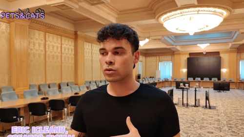 VIDEO | „Legea e bună pe hârtie, dar cine o aplică?” – Eric Icleanu, despre criza protecției animalelor în România