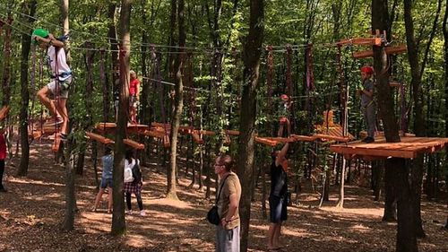 Trasee de biking în zona pârtiei Cocoș/ A fost redeschis parcul de aventură din vârful pârtiei