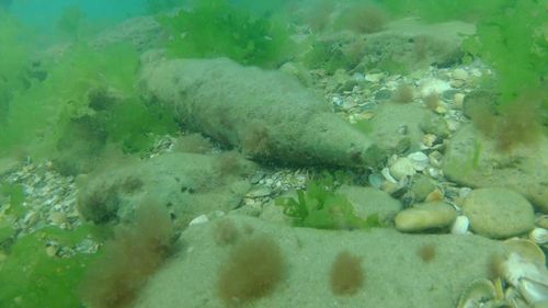 Proiectile de artilerie vechi, găsite în zona litoralului / Se aflau la aproximativ 200 de metri distanță de țărm