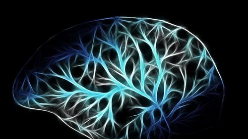 Diabet de tip 1: Imprimarea 3D poate crea insule pancreatice umane capabile să producă insulină / "Am folosit un ”bioink” special care imită structura de suport a pancreasului, furnizând oxigen și nutrienți esențiali"