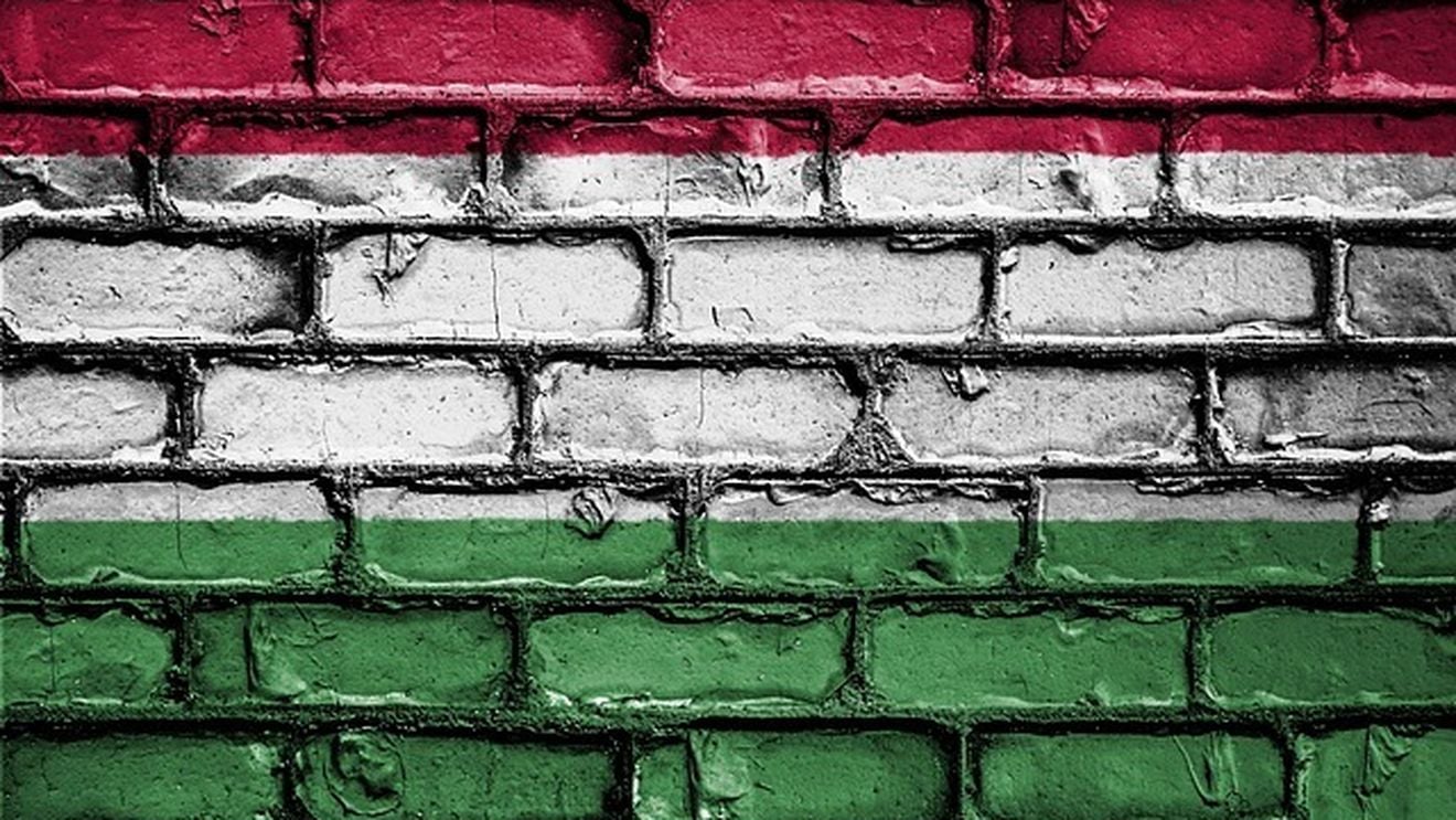 Român condamnat la 4 ani de închisoare, în Ungaria / A ajutat 37 de persoane să treacă ilegal granița într-o singură lună