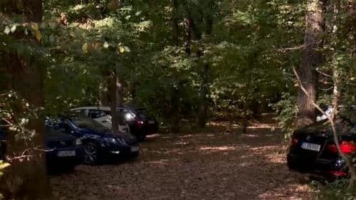 Un ONG o acuză pe Firea că vrea să distrugă pădurea Băneasa pentru a amenaja un parc și un drum forestier. Primăria București: Nu facem defrișări, vom afecta minim pădurea