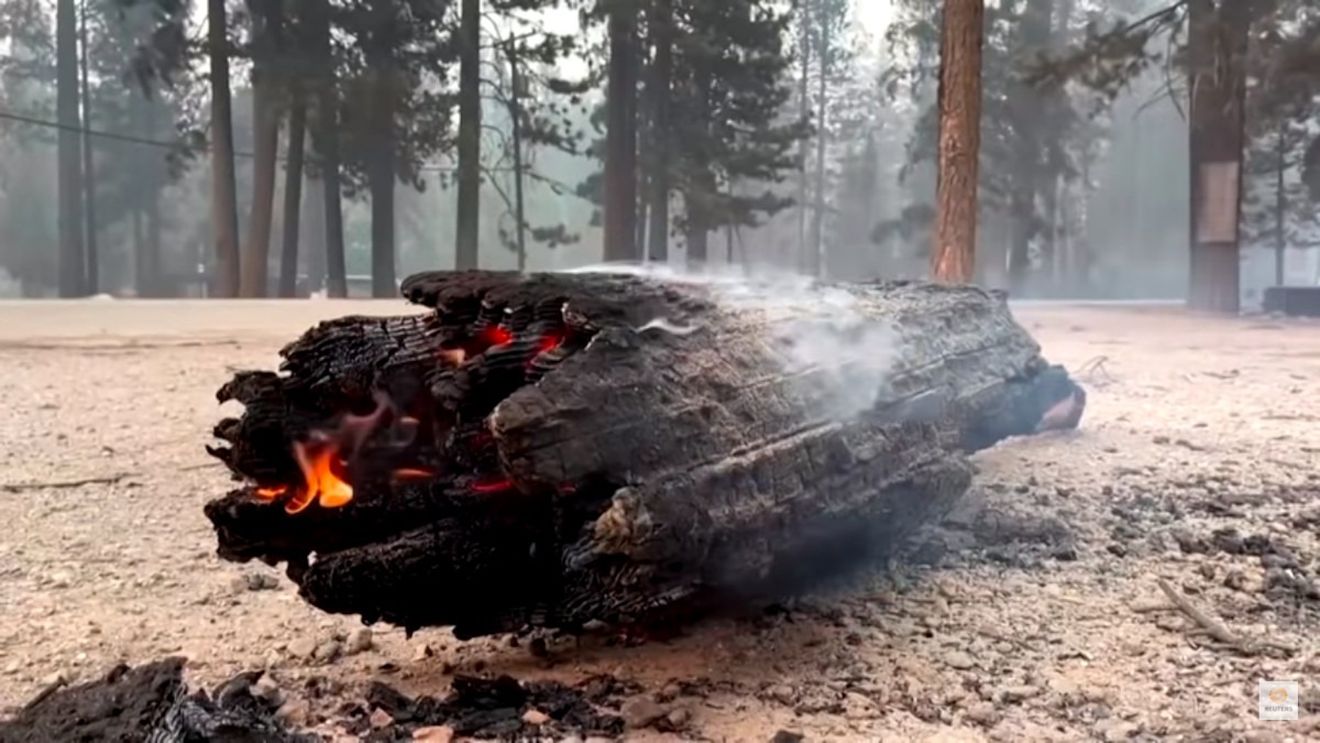 VIDEO "Dixie Fire" devine al doilea cel mai mare incendiu din istoria statului California