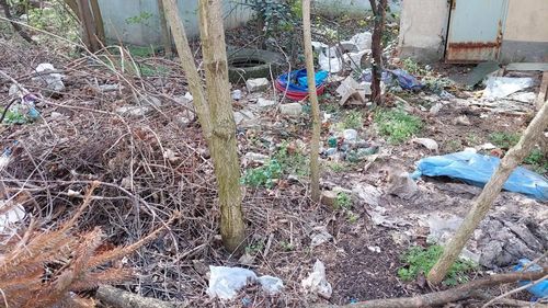 Terenul de lângă Pediatria Spitalului Clinic Municipal Craiova, focar de infecție. Autoritățile nu găsesc proprietarul