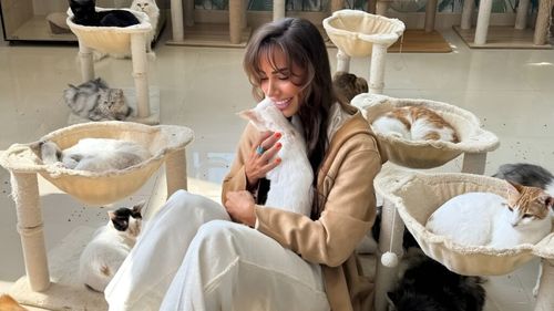 Cel mai luxos adăpost pentru pisici din lume este în Dubai: O vilă cu 10 camere a devenit casă pentru 400 de feline salvate de pe străzi (VIDEO)