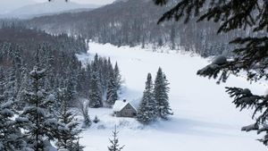 Un excursionist dispărut a fost găsit în viață după ce a supraviețuit mai mult de 6 săptămâni în sălbăticia izolată din Canada