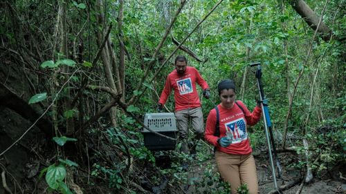 Misiune de salvare pe Plaja Câinilor Morți: Soții care salvează animalele abandonate din Puerto Rico (FOTO)