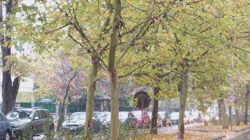 Vremea se va răci în toată ţara, inclusiv în Bucureşti, începând de marţi / Maximele nu vor depăşi 17 grade