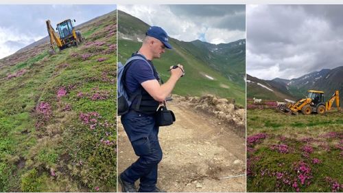 Vegetație distrusă pe o lungime de 500 m în golul alpin Mușeteica, din aria protejată a Munților Făgăraș, de către un cioban care își excava un drum către stână. „Răul, adesea stopat prea târziu”, acuză un conservaționist