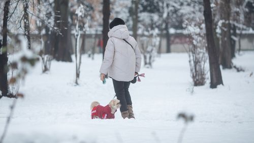 STUDIU Schimbările climatice au contribuit la precipitaţiile abundente care au afectat Europa de Est în timpul furtunii Bettina  din noiembrie, care a dus la ninsori abundente în Moldova, Bulgaria, România și Ucraina