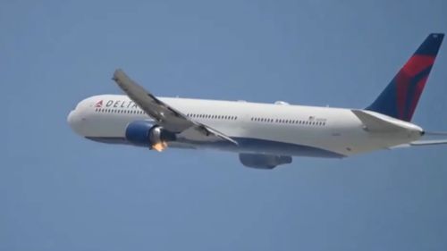Un avion Airbus care efectua o cursă de la Madrid la Paris s-a întors din drum, după decolare, fără bot, după o coliziune cu un vultur
