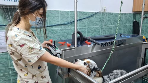 Bazin de hidroterapie pentru afecţiunile animalelor, amenajat din fonduri proprii de o Universitate din Cluj