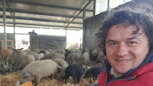 Singurul fermier din România care are un doctorat pe tema „porcul Mangalița” / Alin Neamțu: „Slănina este nelipsită de la micul dejun. Mi-am făcut analizele și toate valorile sunt în limite normale”