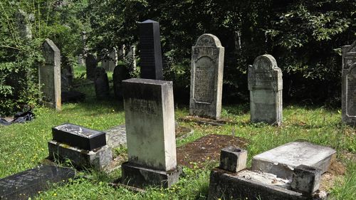 Actele de vandalism din cimitirul evreiesc de la Reghin, în atenția unui parlamentar din Israel / Stră-străbunicul său, un important Rabin din Imperiul Austriac, este îngropat acolo