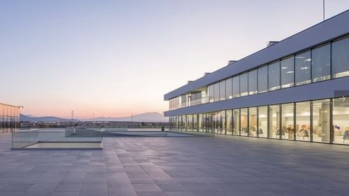 Clădirea centrului de afaceri din Brașov, pericol pentru păsări / Zeci de răpitoare mor după ce se lovesc de geamuri / Un specialist recomandă acoperirea ferestrelor cu autocolante