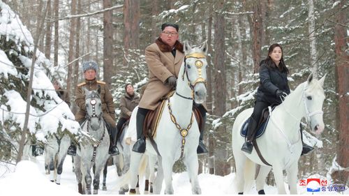 Putin i-a oferit lui Kim Jong-un 24 de cai de rasă ca plată pentru proiectile de artilerie trimise de Coreea de Nord în Rusia / Schimburi frecvente de animale între cele două state
