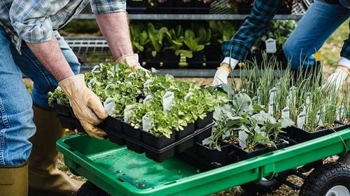 Alimentele din magazinele britanice ar putea fi etichetate ecologic / Metoda este deja folosită de producători și de furnizorii de servicii de catering