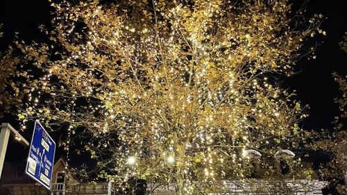 În București a început montarea decorațiunilor și iluminatului de Crăciun