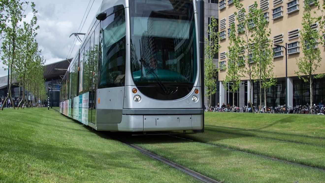 Plante perene din Olanda vor înlocui, la Reşiţa, gazonul dintre liniile de tramvai din Lunca Bârzavei / ”Banii cât ar costa irigarea și gazonul sunt cam aceeași cu plantele perene prevăzute pentru aceeași suprafață”