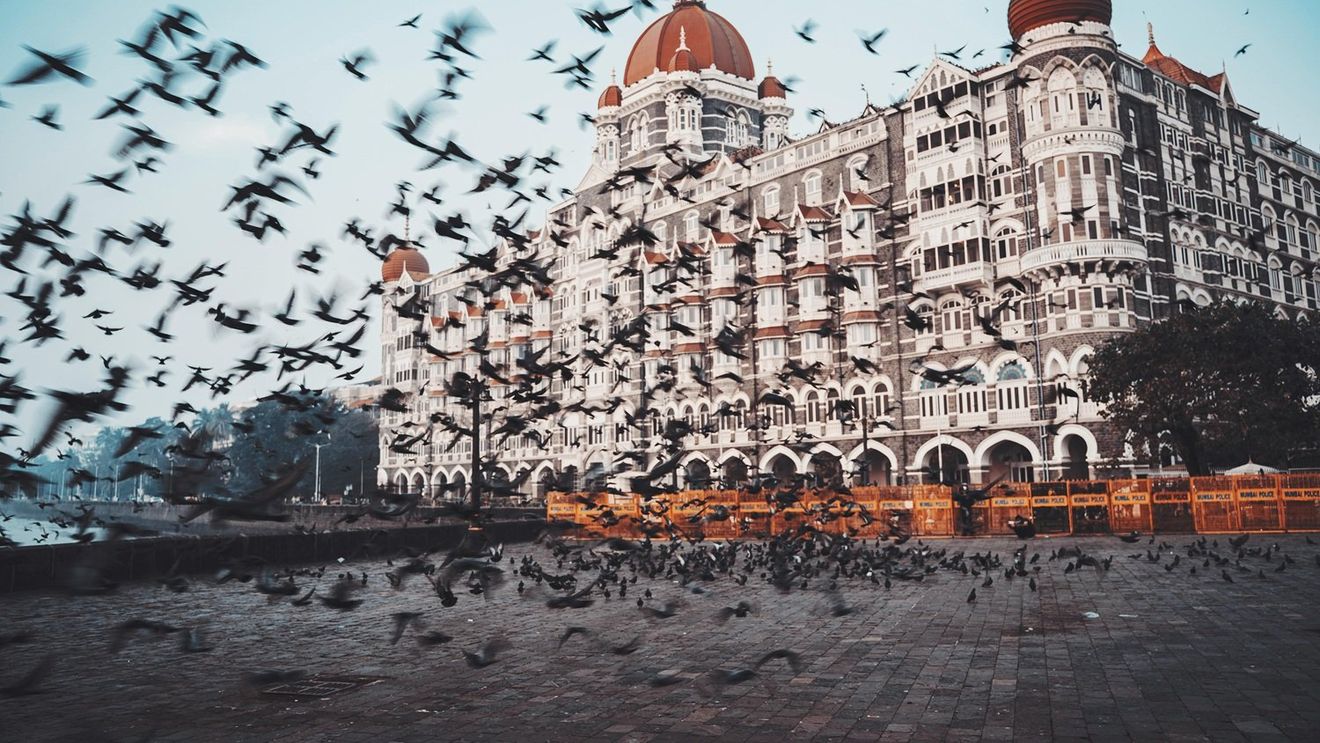 Sănătate sau tradiție? O interdicție de hrănire a porumbeilor în Mumbai stârnește dezbateri aprinse în India