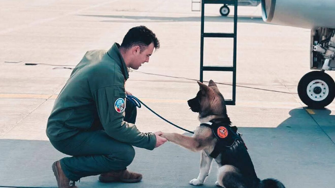 Un pilot de la baza aeriană din Cluj a murit în timp ce se afla în misiune la baza militară „Locotenent Aviator Gheorghe Mociorniță” din Borcea, după ce ar fi încercat să salveze un câine dintr-un bazin de colectare a apei