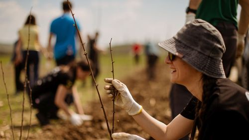 Un camping mai verde la Electric Castle 2023 (Parteneriat)