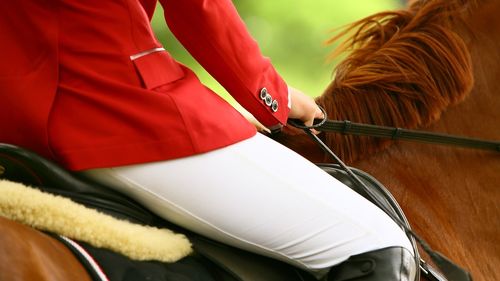 Număr record de călăreţi şi cai înscrişi la Karpatia Horse Show 2023 / Concursul este etapă pentru calificarea la Jocurile Olimpice / Probe de dresaj, cross-country și sărituri peste obstacole