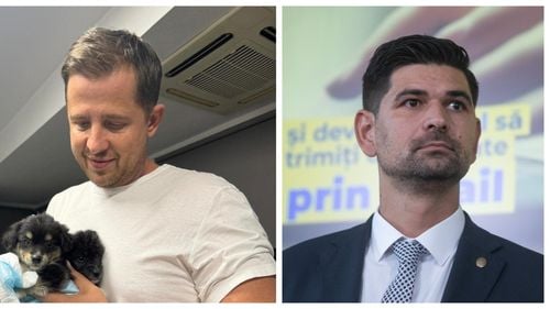 Alianța Hubert Thuma-George Tuță. Cine sunt angajații primăriei Sectorului 1 migrați de la CJ Ilfov / Cum a ajuns șefa de la Protecția Animalelor să ocupe funcția de director de mediu, cu un salariu de 4 ori mai mare, prin detașare de la Consiliul Județean Ilfov