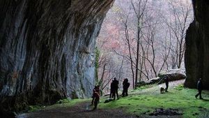 Afacerea ariilor protejate – o mărturie din interior. De ce a eliminat Guvernul custozii