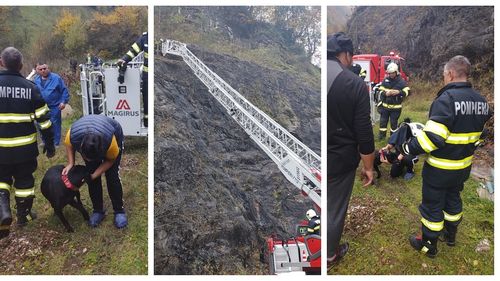 Un câine cățărat pe o stâncă de 20 de metri, salvat de pompierii lugojeni