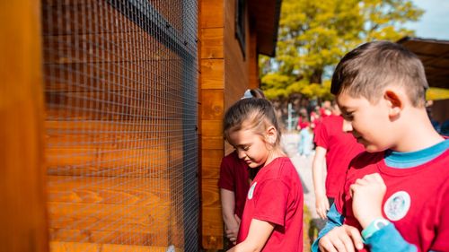 S-a deschis primul adăpost pentru pisicile abandonate din România, la Târgu Secuiesc / Acestea sunt capturate de pe străzi, examinate și deparazitate, iar ulterior pot fi date spre adopție