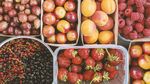 Fructele de vară care pot ajuta la reglarea tensiunii arteriale / Dr. Daciana Toma spune că sunt bogate în potasiu, antioxidanți și fibre / Iată ce poți mânca