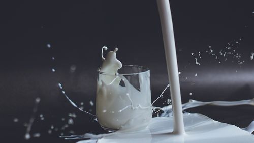 Marii producători de lactate anunţă că se aliază pentru a reduce emisiile de metan