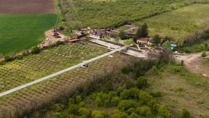 Operaţiunea "Totul pentru Dragnea". Încă o prevedere letală din Codul de Procedură Penală care ar putea pulveriza dosarele liderului PSD