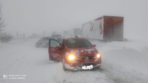 Autostrada Moldovei - A 7, prima autostradă din România cu perdele forestiere. De la Ploiești la Pașcani, aproape 700 de hectare de perdele împotriva viscolului/DN 2 (E 85), închis sâmbătă între Urziceni și Râmnicu Sărat