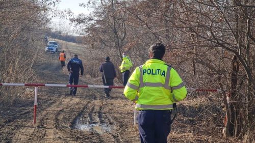 Zeci de păsări au fost găsite spânzurate în copaci, într-o pădure, în județul Botoșani / Poliția investighează cazul