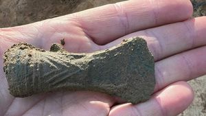 Topoare vechi de 3.000 de ani, descoperite într-o pădure de lângă Ocna Mureș, cu ajutorul detectoarelor de metale