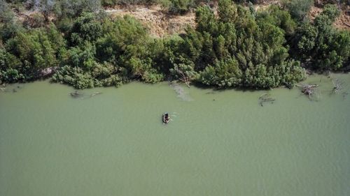 Reuters: A crescut semnificativ numărul românilor de etnie romă care trec granița dintre Mexic și Statele Unite cu pluta pe Rio Grande/ Romii susțin că au părăsit România din cauza rasismului și cer azil în SUA